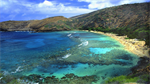 Fond d'écran gratuit de OCEANIE - Hawai numéro 63234